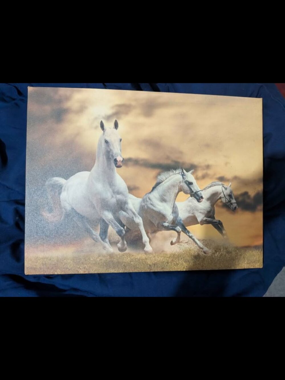 Small canvas picture